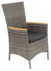 AKS Legano Diningsessel Polyrattan Kunstoffgeflecht Aluminium grau