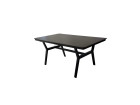 AKS Oregon Diningtisch charcoal 160x60x92 cm